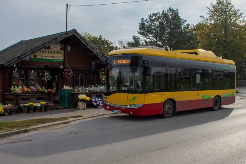 Autobusy komunikacji miejskiej w okresie Wszystkich Świętych