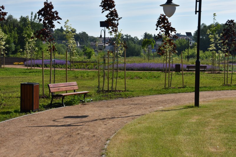 Nowy park przy ul. Augustiańskiej