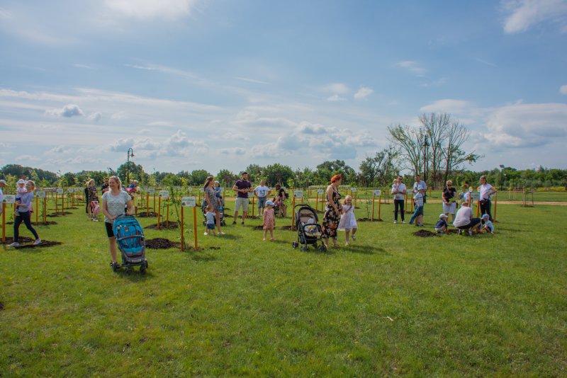 Nowy park miejski przy ul. Augustiańskiej oddany mieszkańcom